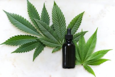 Combien de temps faut-il pour ressentir les effets de l'huile de CBD ?