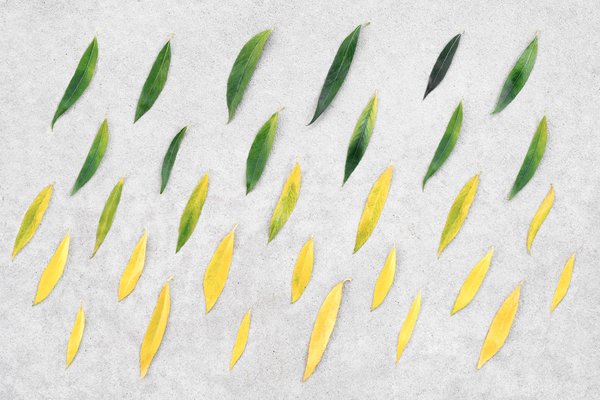 les clés pour une transition réussie vers le travail indépendant