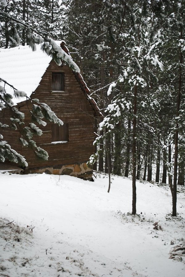 Acheter un chalet au Mont Blanc : à quoi faut-il penser ?