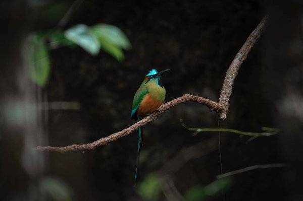 Pourquoi maintenir la paix dans le monde ?