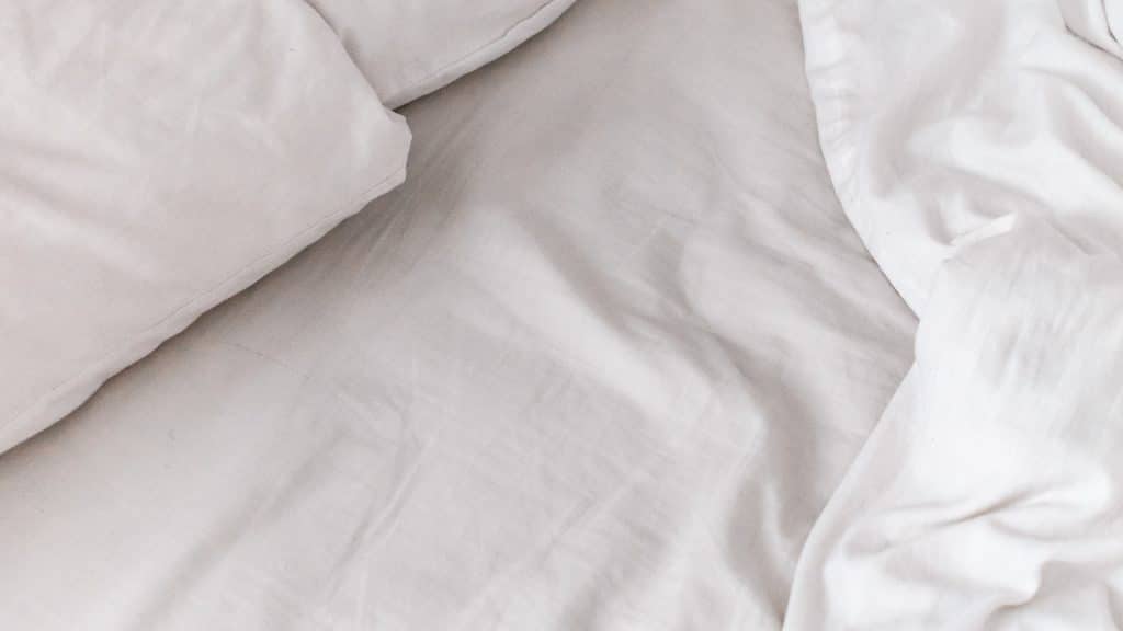 Les punaises de lit à Besançon : découvrez les traitements des professionnels